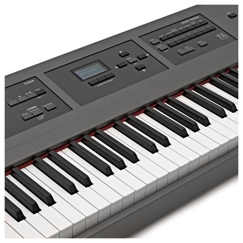 פסנתר חשמלי מקצועי מבית Dexibell VIVO P7