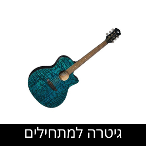 פסנתר או אורגנית למתחילים