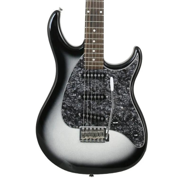 גיטרה חשמלית Raptor Custom Silverburst